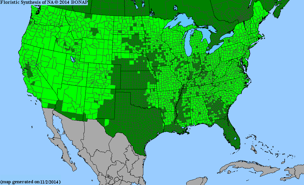 County-level map of Amelanchier distribution, Biota of North America Program (BONAP)