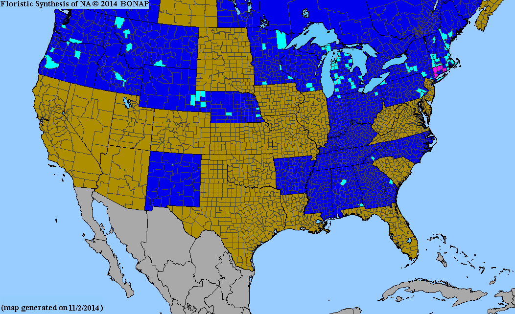 http://bonap.net/MapGallery/County/Nasturtium%20microphyllum.png