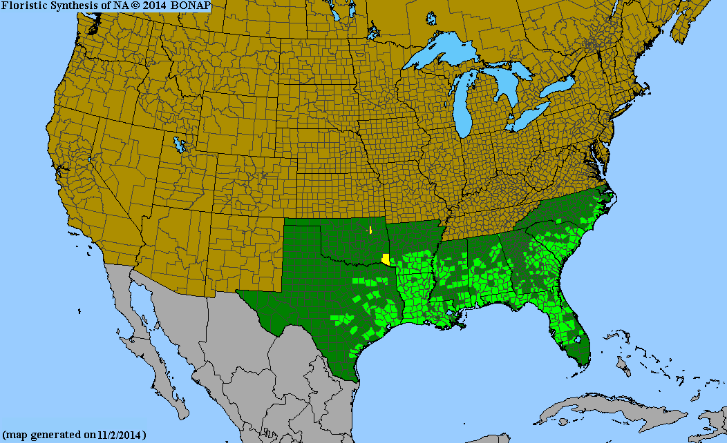 http://bonap.net/MapGallery/County/Sabal%20minor.png