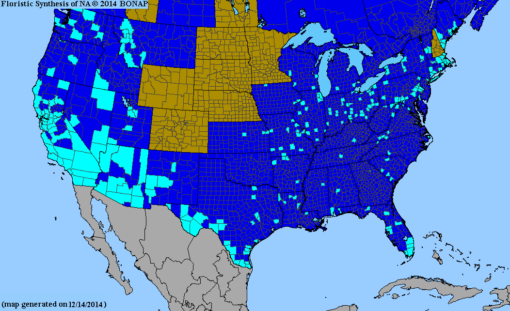 2013 BONAP North American Plant Atlas. TaxonMaps