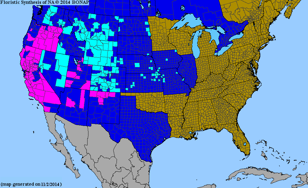 2013 BONAP North American Plant Atlas. TaxonMaps