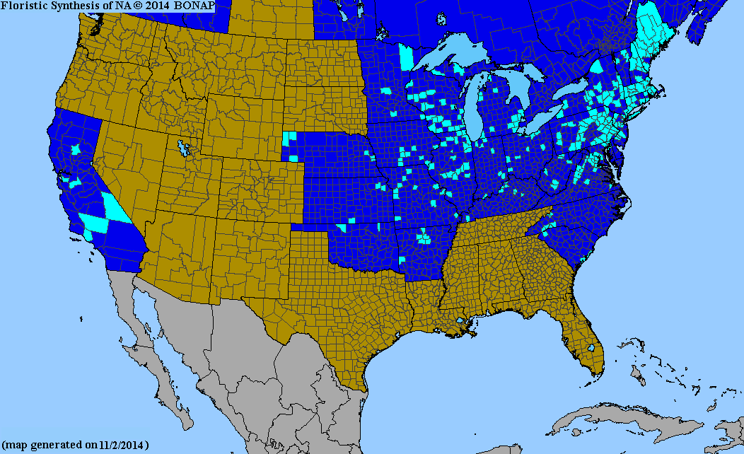 2013 BONAP North American Plant Atlas. TaxonMaps