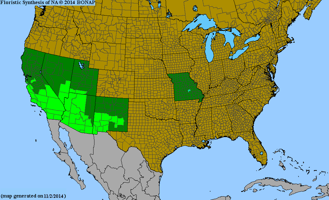 2013 BONAP North American Plant Atlas. TaxonMaps