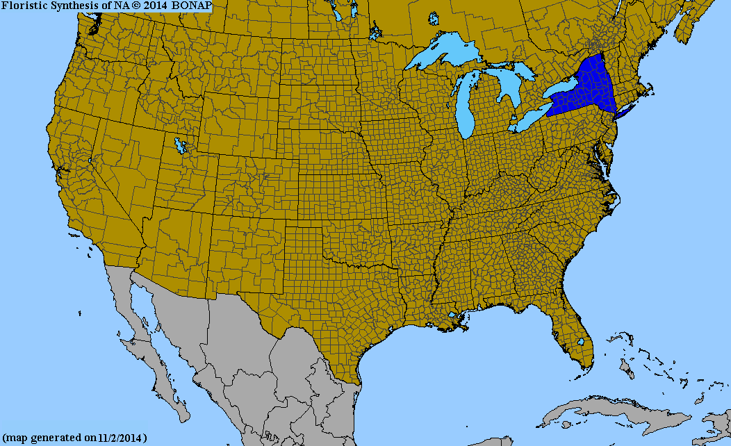 2013 BONAP North American Plant Atlas. TaxonMaps