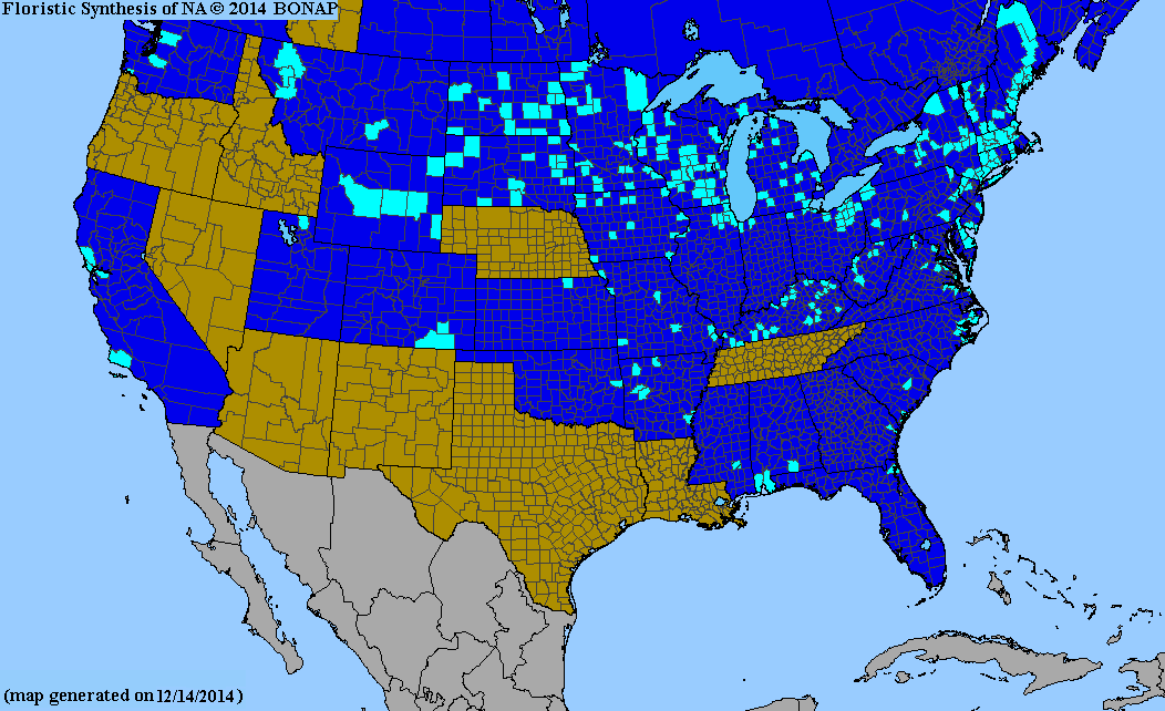 2013 BONAP North American Plant Atlas. TaxonMaps