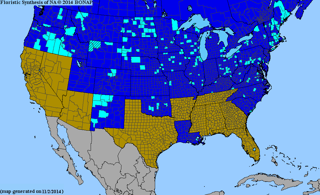 2013 BONAP North American Plant Atlas. TaxonMaps