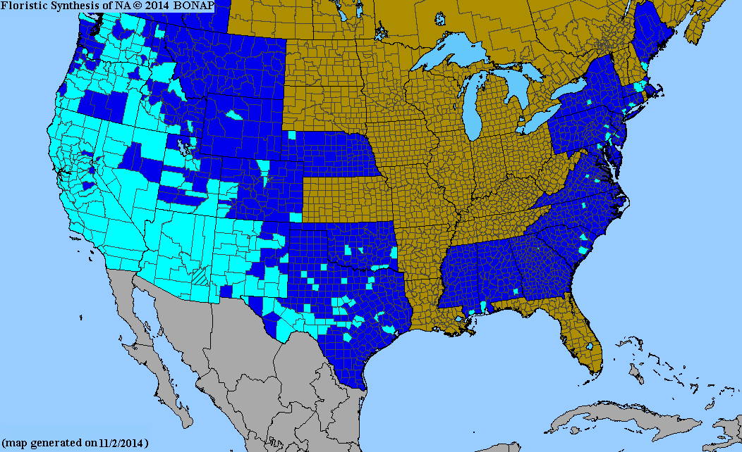 2013 BONAP North American Plant Atlas. TaxonMaps