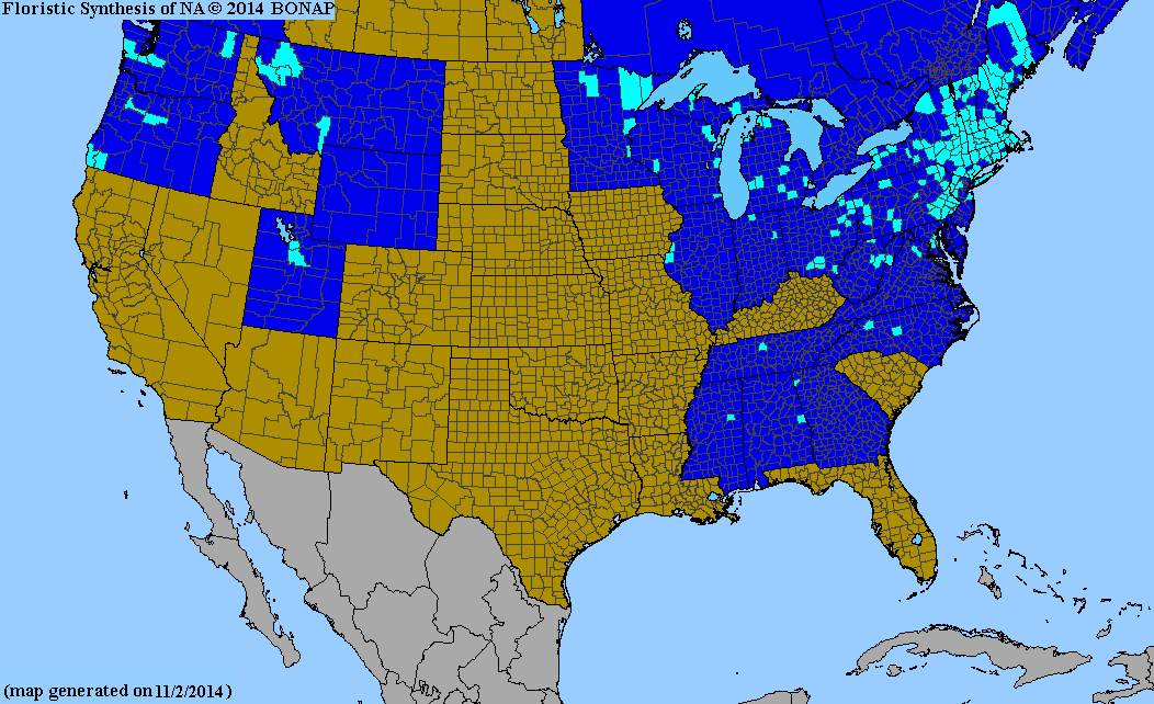 2013 BONAP North American Plant Atlas. TaxonMaps