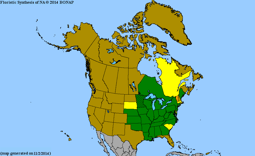 2013 BONAP North American Plant Atlas. TaxonMaps