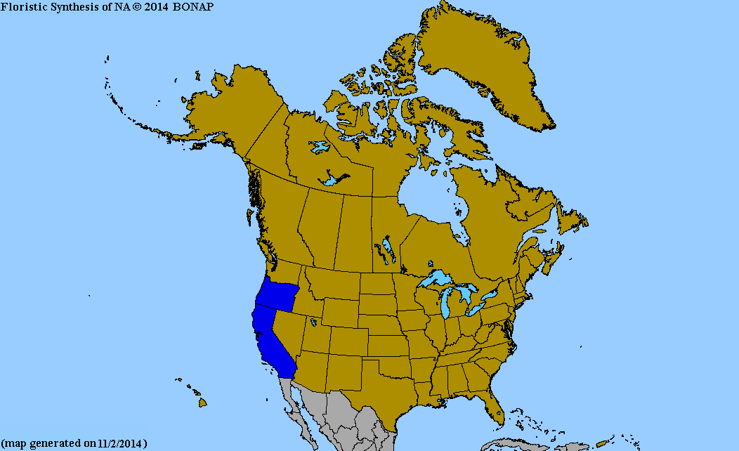 2013 BONAP North American Plant Atlas. TaxonMaps