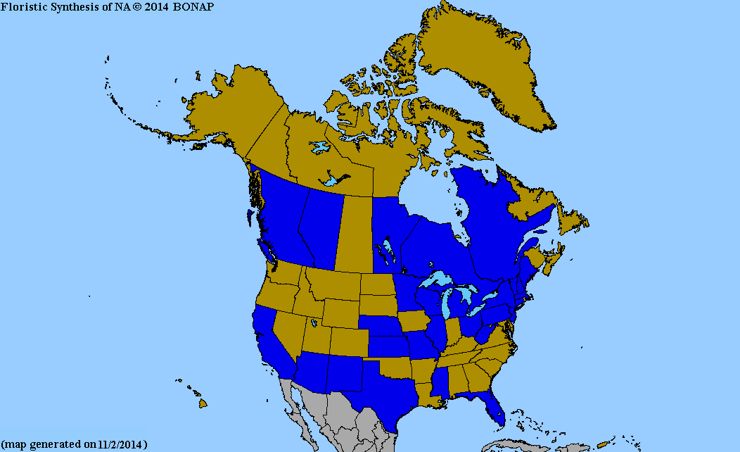 2013 BONAP North American Plant Atlas. TaxonMaps