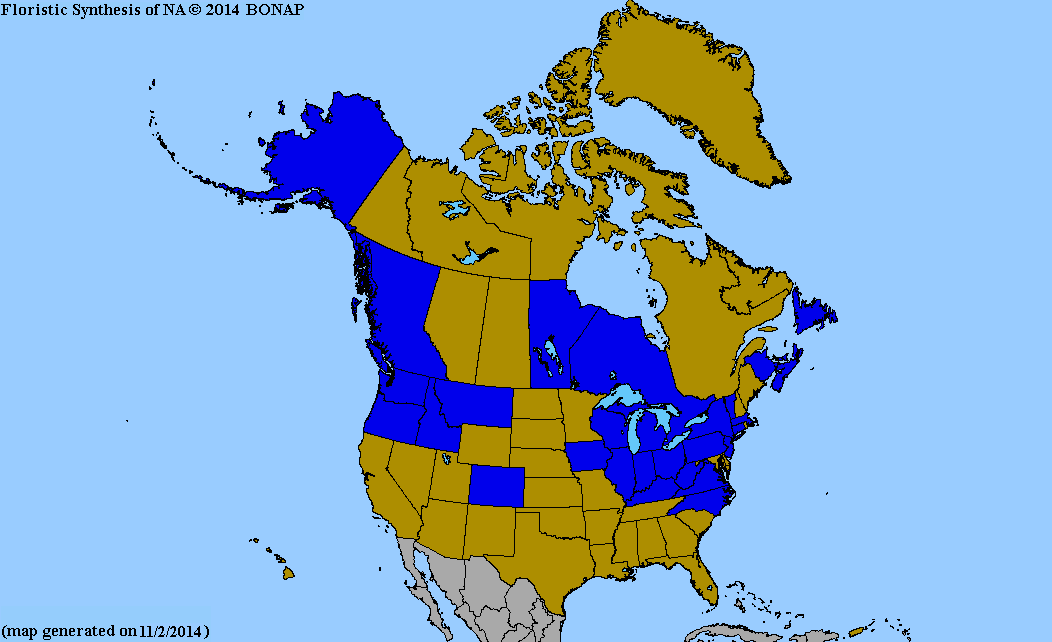 2013 BONAP North American Plant Atlas. TaxonMaps