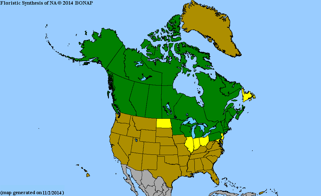 2013 BONAP North American Plant Atlas. TaxonMaps