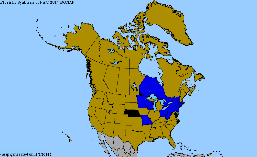 2013 BONAP North American Plant Atlas. TaxonMaps