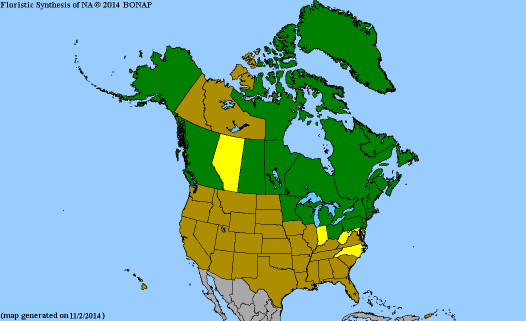 2013 BONAP North American Plant Atlas. TaxonMaps