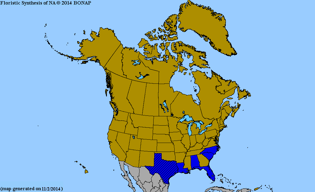 2013 BONAP North American Plant Atlas. TaxonMaps