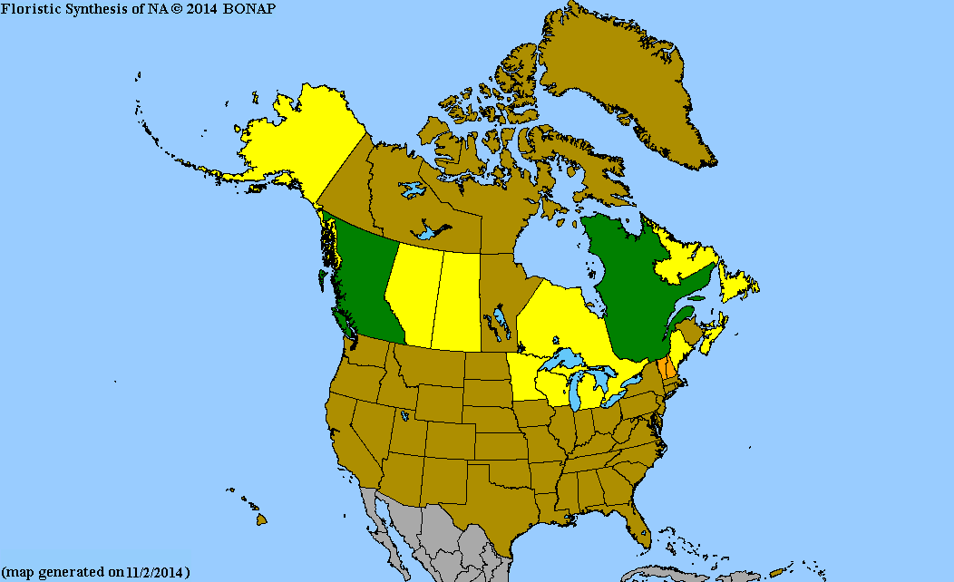 2013 BONAP North American Plant Atlas. TaxonMaps