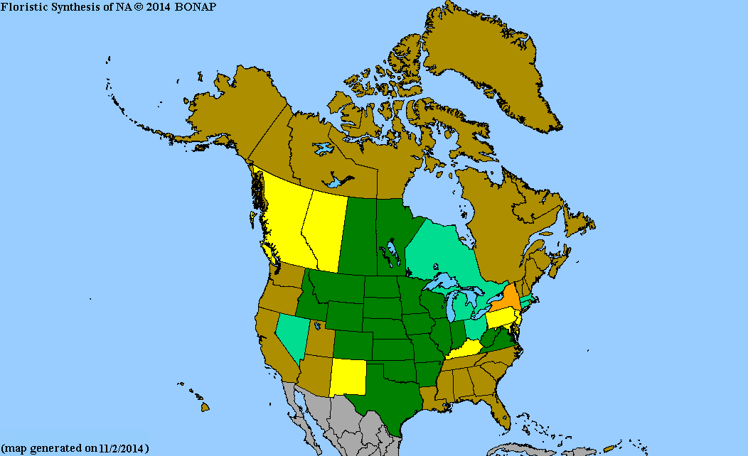 2013 BONAP North American Plant Atlas. TaxonMaps