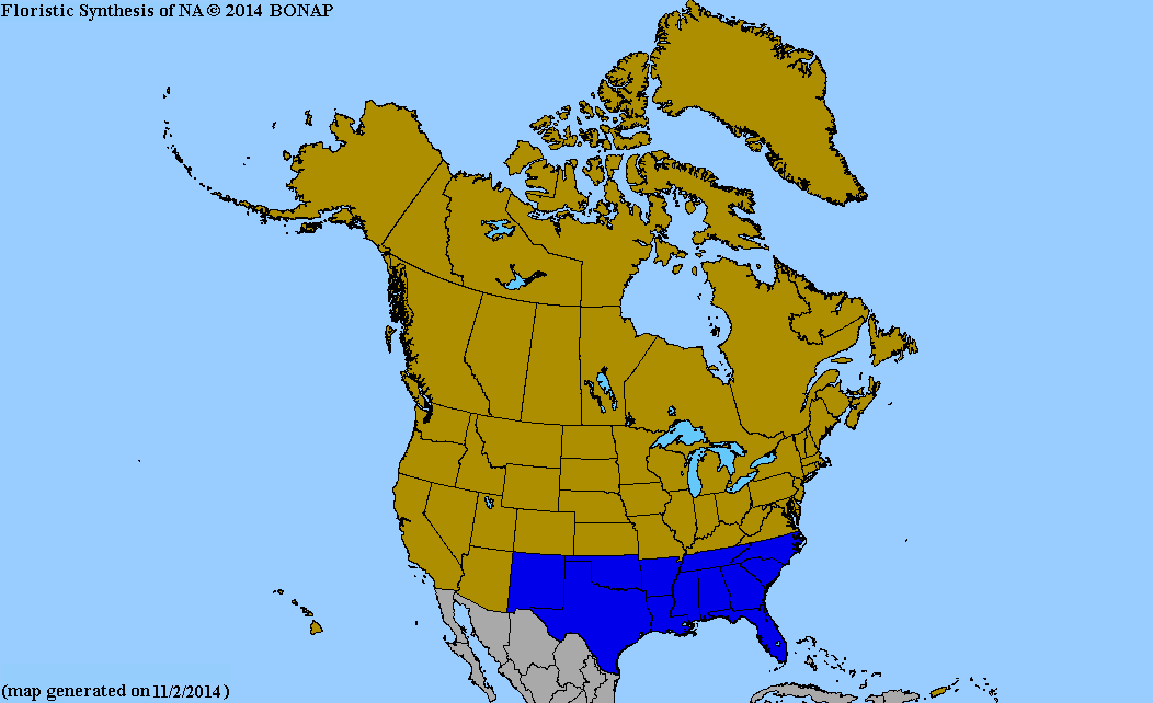 2013 BONAP North American Plant Atlas. TaxonMaps