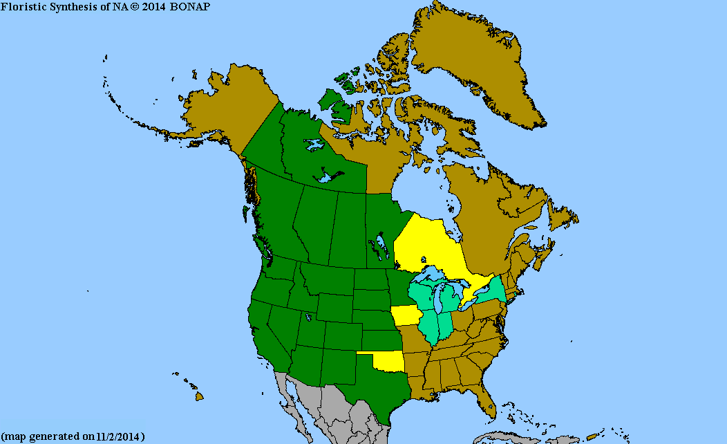 2013 BONAP North American Plant Atlas. TaxonMaps