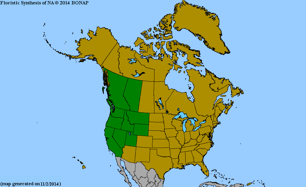 2013 BONAP North American Plant Atlas. TaxonMaps