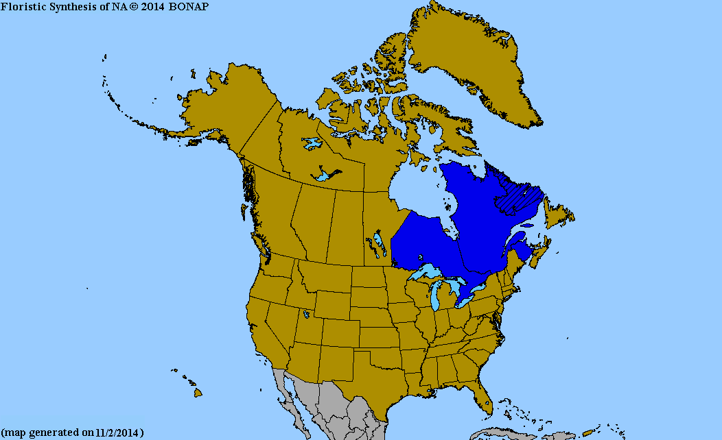 2013 BONAP North American Plant Atlas. TaxonMaps