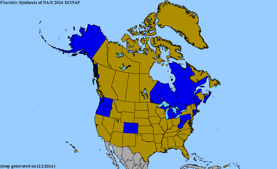 2013 BONAP North American Plant Atlas. TaxonMaps