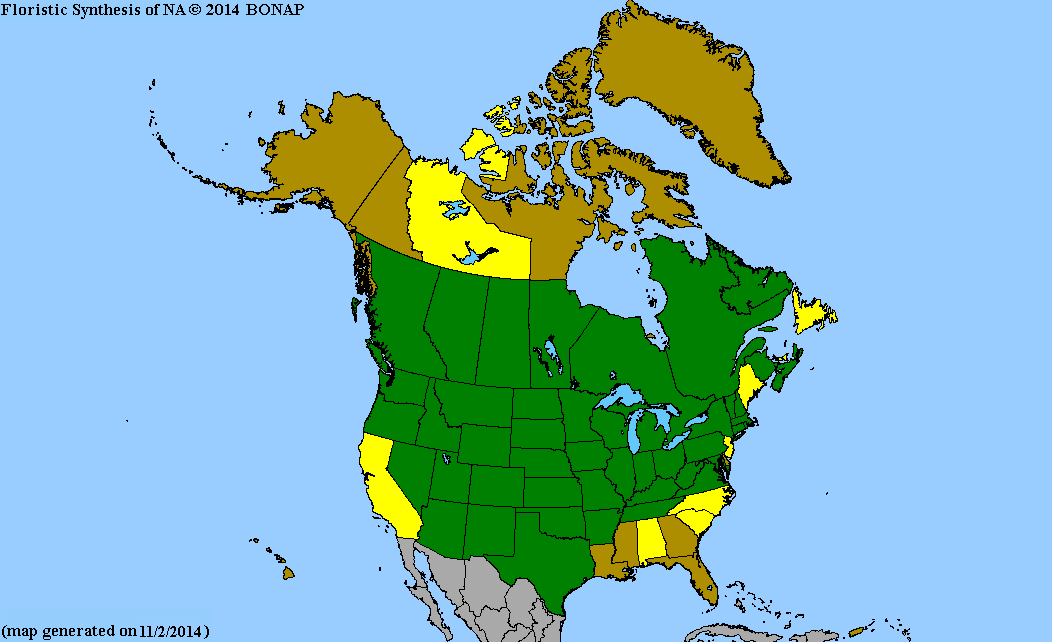 2013 BONAP North American Plant Atlas. TaxonMaps