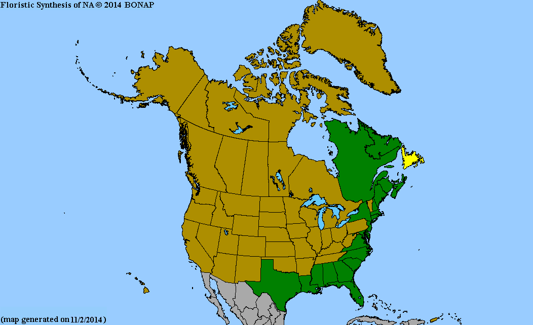 2013 BONAP North American Plant Atlas. TaxonMaps