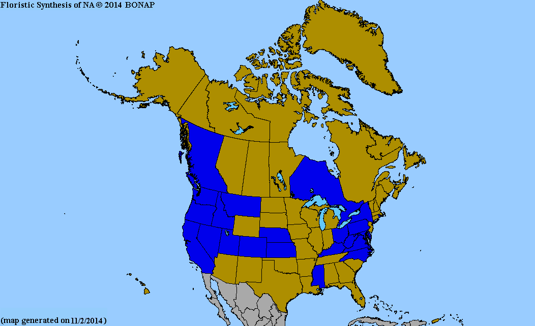 2013 BONAP North American Plant Atlas. TaxonMaps