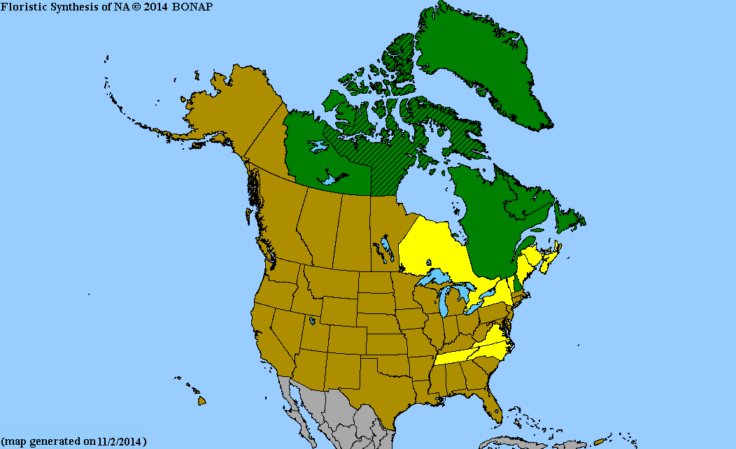 2013 BONAP North American Plant Atlas. TaxonMaps