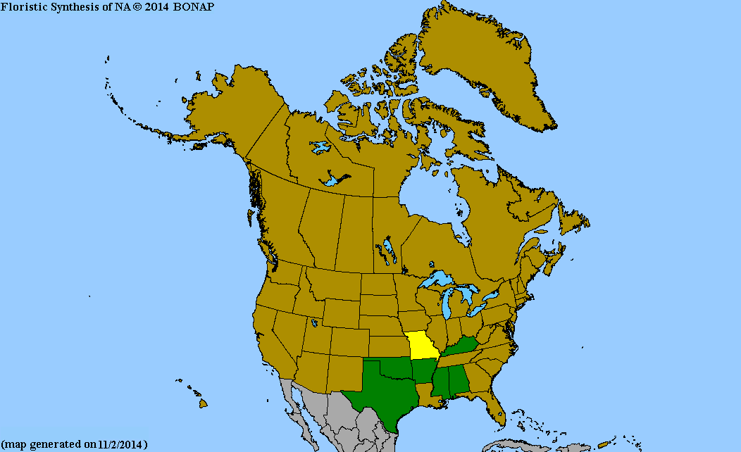 2013 BONAP North American Plant Atlas. TaxonMaps