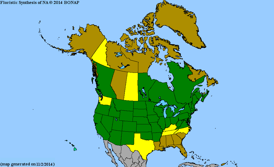 2013 BONAP North American Plant Atlas. TaxonMaps