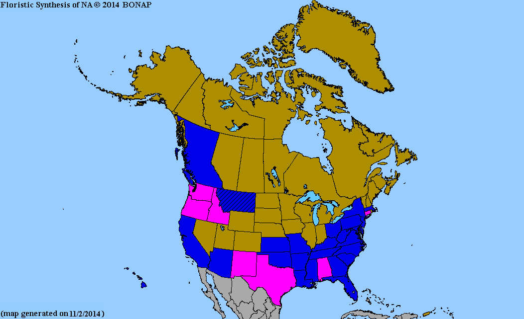 2013 BONAP North American Plant Atlas. TaxonMaps