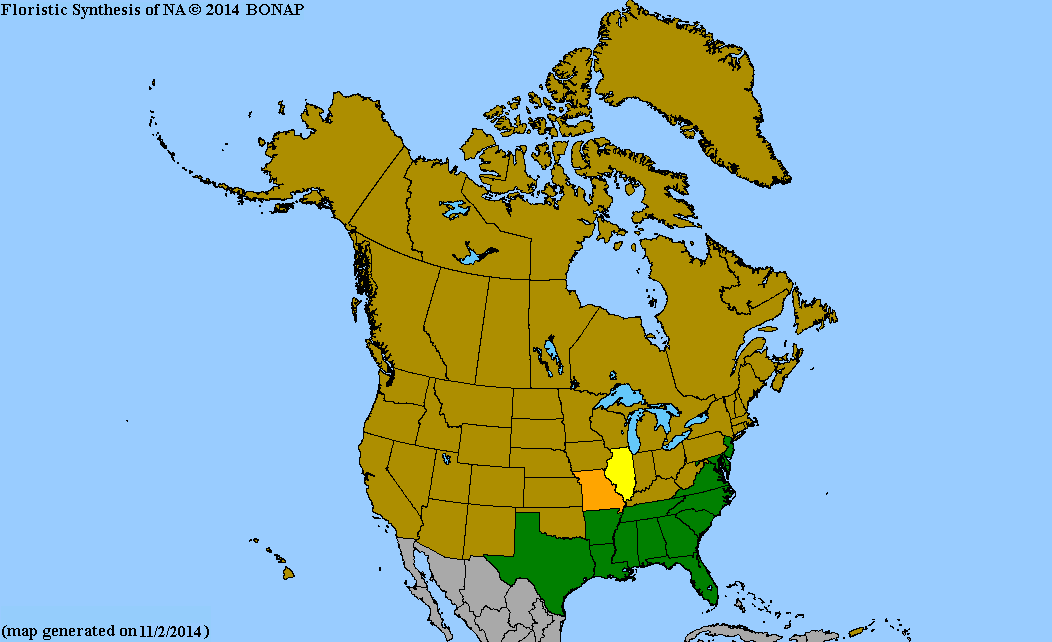 2013 BONAP North American Plant Atlas. TaxonMaps