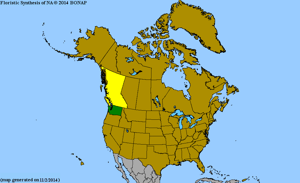 2013 BONAP North American Plant Atlas. TaxonMaps