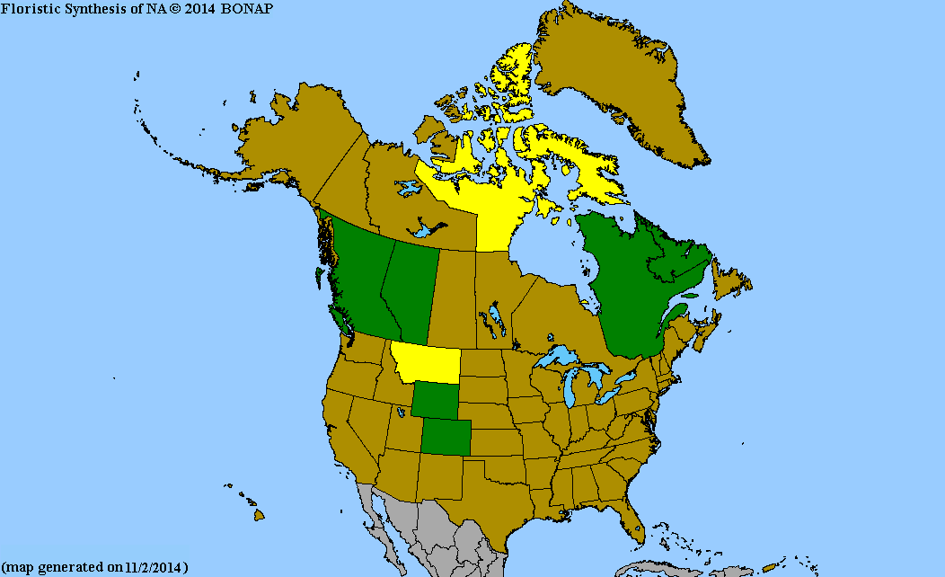 2013 BONAP North American Plant Atlas. TaxonMaps