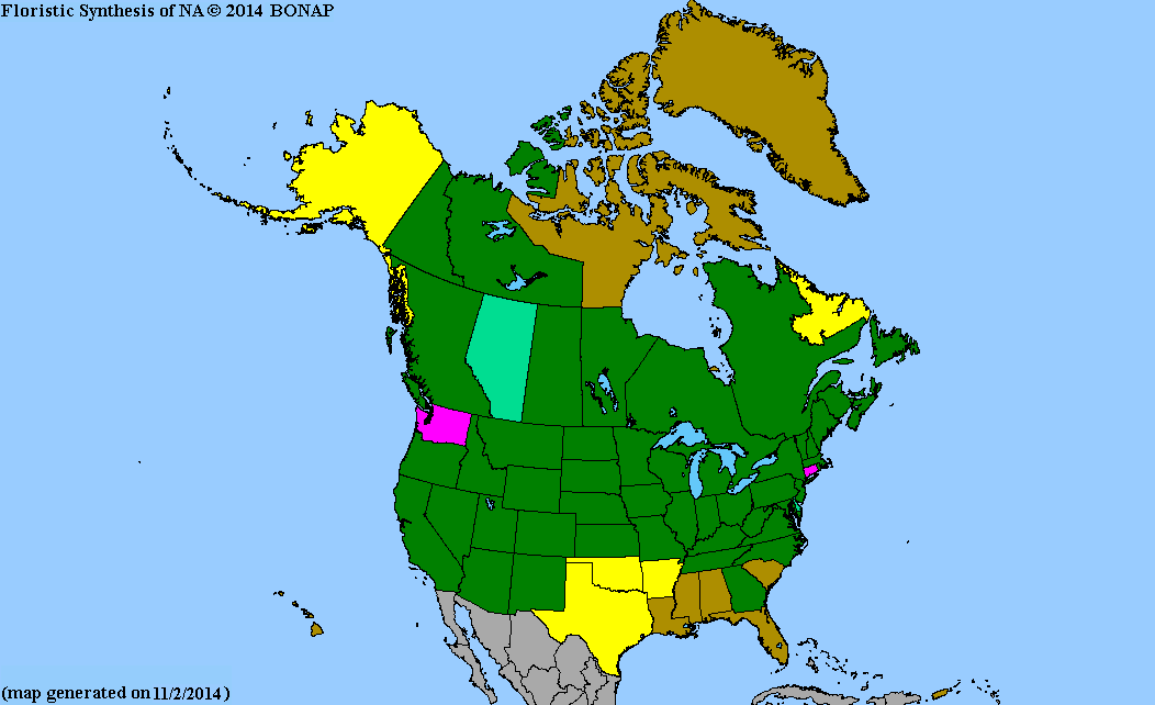 2013 BONAP North American Plant Atlas. TaxonMaps