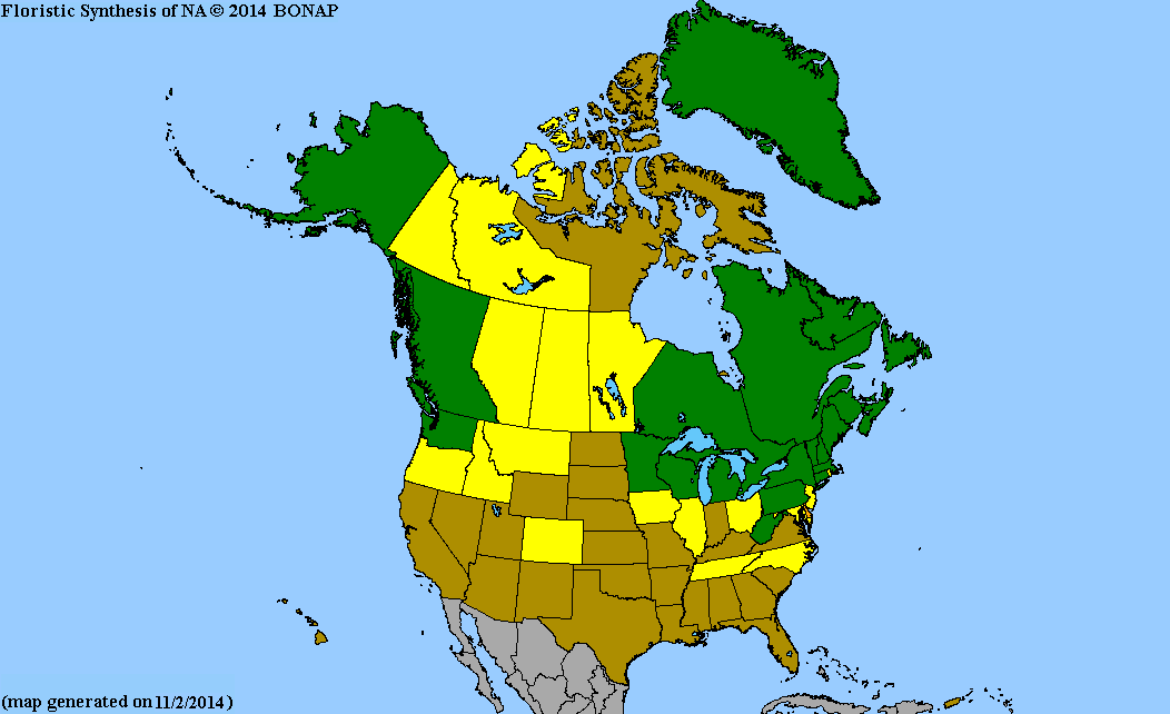 2013 BONAP North American Plant Atlas. TaxonMaps