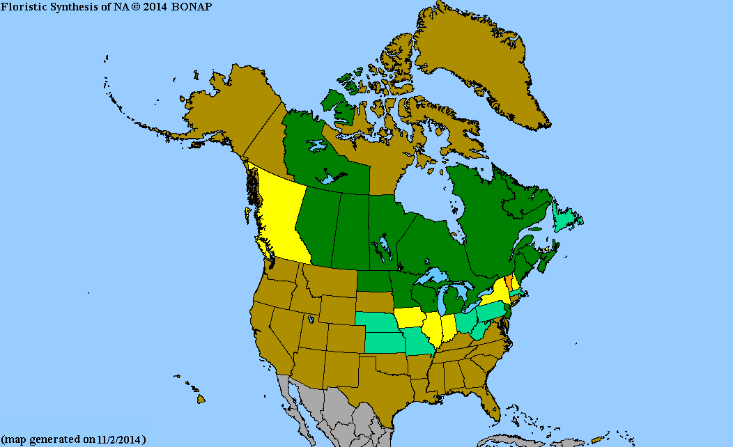 2013 BONAP North American Plant Atlas. TaxonMaps