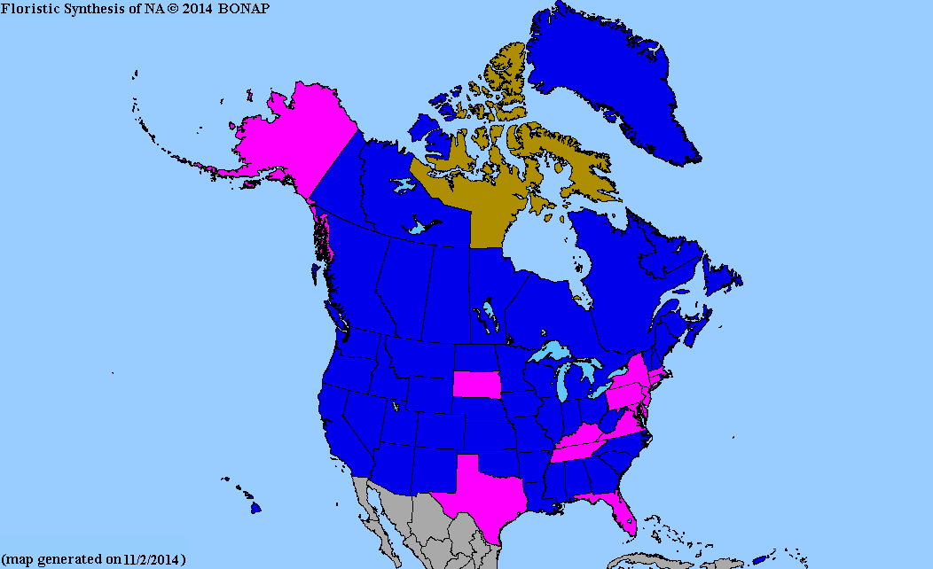 2013 BONAP North American Plant Atlas. TaxonMaps