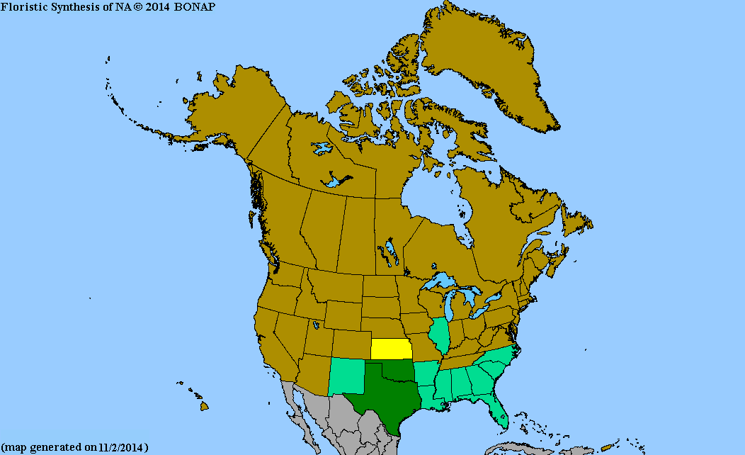 2013 BONAP North American Plant Atlas. TaxonMaps