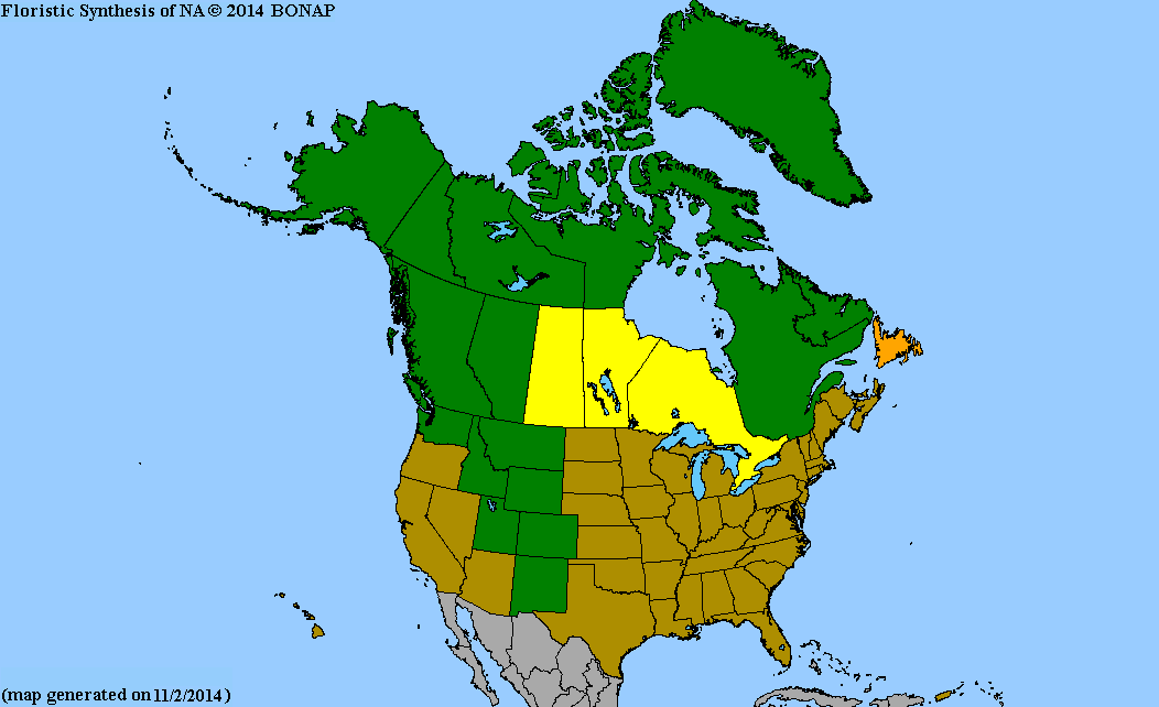 2013 BONAP North American Plant Atlas. TaxonMaps