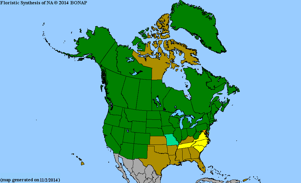 2013 BONAP North American Plant Atlas. TaxonMaps