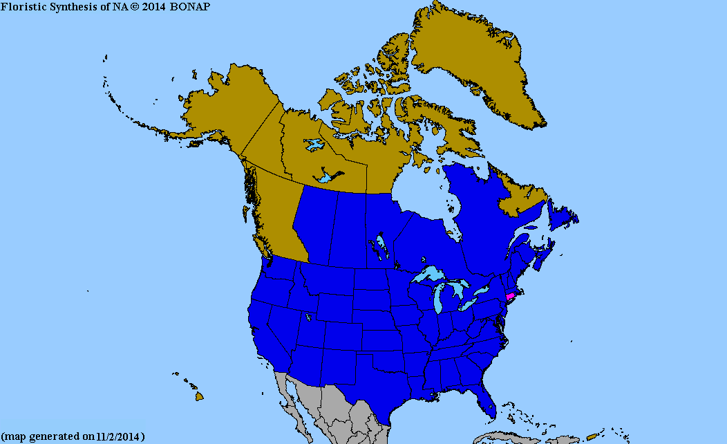 Populus Map 2013 BONAP North American Plant Atlas. TaxonMaps