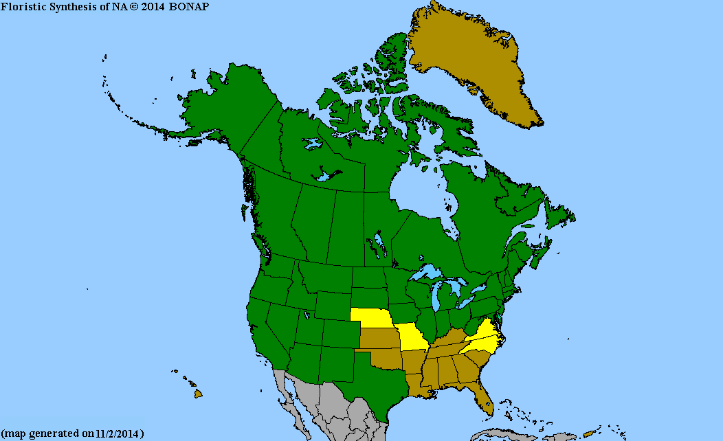 Populus Map 2013 BONAP North American Plant Atlas. TaxonMaps