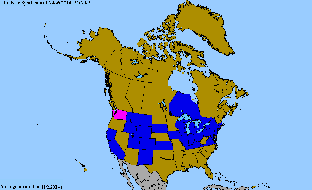 2013 BONAP North American Plant Atlas. TaxonMaps