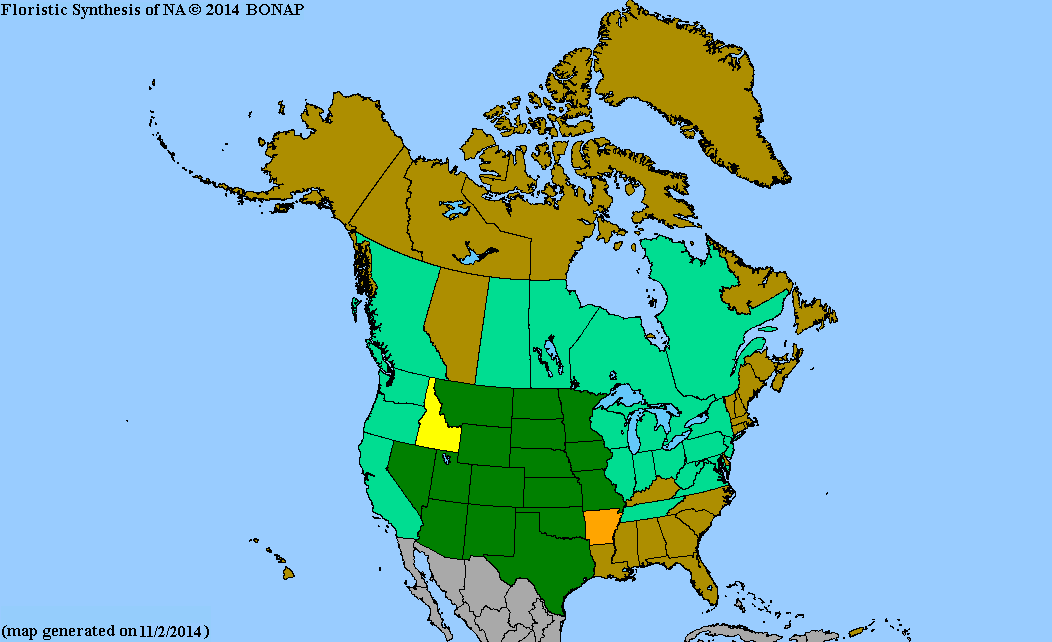 2013 BONAP North American Plant Atlas. TaxonMaps