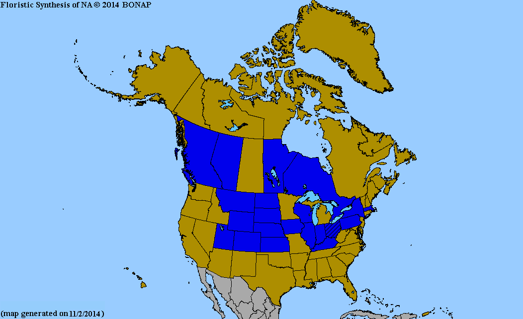 2013 Bonap North American Plant Atlas. Taxonmaps