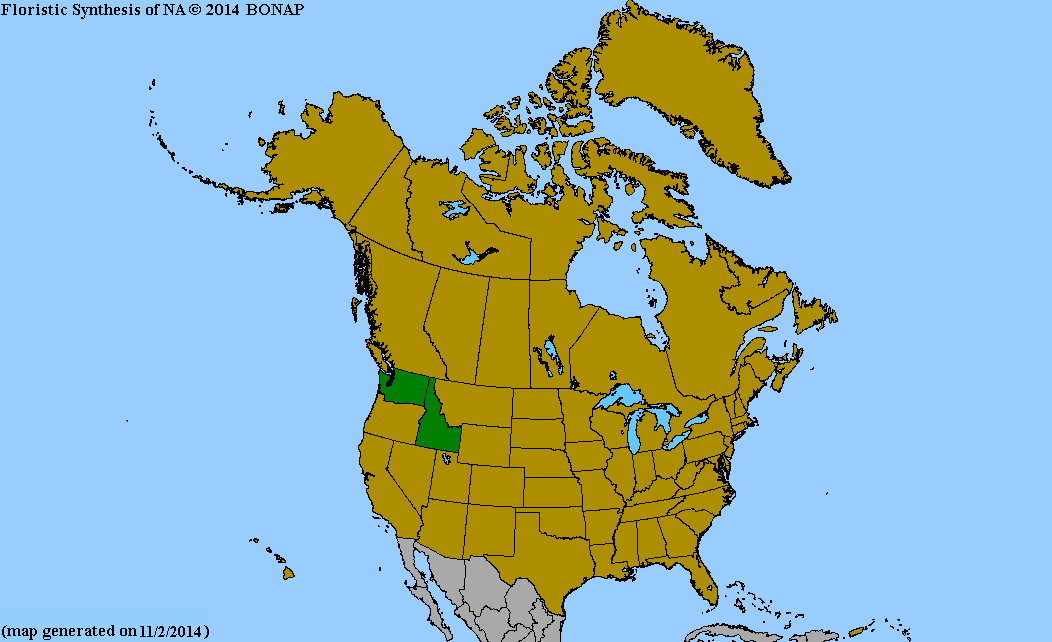 2013 BONAP North American Plant Atlas. TaxonMaps